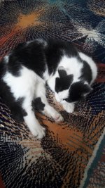 20201210_112907.jpg
