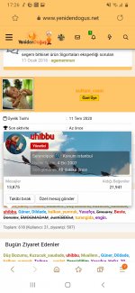 Screenshot_20201219-172622_Samsung Internet.jpg