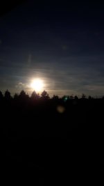 20201229_163745.jpg 20201229_163745.jpg