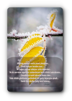 cab4acdefdwef5c6d54100609edea80f353d9ce.png