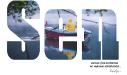 sSENUntitled-2.png