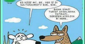 3D486BA7-D595-4AEE-AB5A-5DA1CE9FBBEC.jpeg