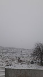 20210115_084633.jpg