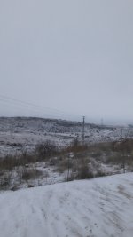 20210115_080536.jpg
