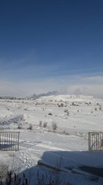 20210117_104514.jpg