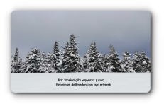 20210119_161654.png
