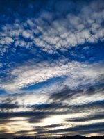 PSX_20210129_173205.jpg