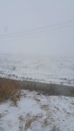 IMG-20210130-WA0000.jpg