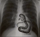 S10201-20250303(1).png