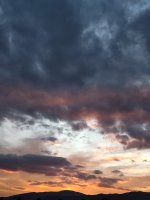 P10209-181310.jpg