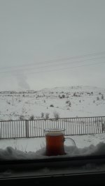 20210216_105137.jpg