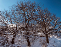 20210121_204447.png