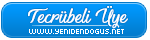 tecrübeli üye.png