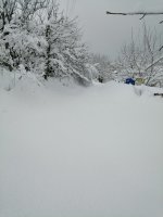IMG-20210216-WA0006.jpg