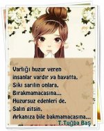 94cd0e58a03cce1099aee7d174c77141.jpg