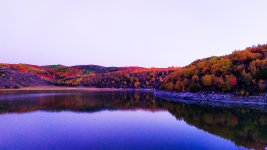 IMG-20201113-WA0031.jpg