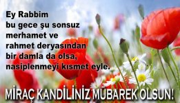 72001bfec80ad39f7cb77e7ef24a8baa.jpg