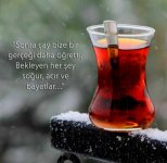 42196175a14a3b0b1c17951cf4fdf1b8.jpg