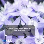 edebi-sozler-017.jpg
