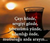 cay-denince-akla-gelenler_1411874.jpg