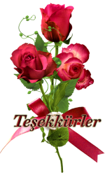 b33f2a40d5e19f1b59da2c04446d43ee.png