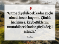 8273 (1).png