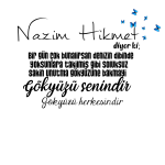 1615213845917.png