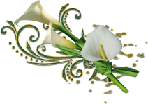 0_b9f1d_3c3b401d_XL.png 0_b9f1d_3c3b401d_XL.png