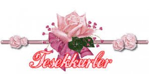 images (14).jpeg images (14).jpeg