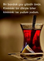 c6cde13a0bf88bfda61be8324d1fbbaf.jpg
