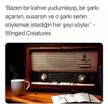 Screenshot_20210416-222332_Instagram.jpg