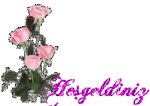 a628c9f0cf13183c0a664a9abbef2469-1.gif
