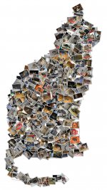 collage-cat_3127.jpg