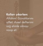 EE467474-CBE7-4BEF-A7C5-999E33D914FF.jpeg