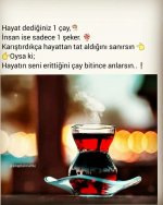 aa5251e3def10bc4cda5f6e7587a5cf8.jpg aa5251e3def10bc4cda5f6e7587a5cf8.jpg