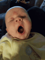 21010746.gif
