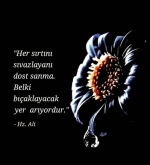 1619050927138.png