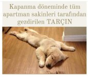 FB_IMG_1619891357960.jpg