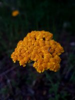 20180522_182850.jpg