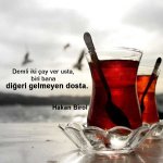 2d31b1767c3a643c7c90d8460850862c.jpg