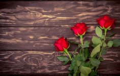 1b16b1359a97a40c896e56f9b8bf4240.jpg