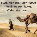 FB_IMG_15902550599046307.jpg