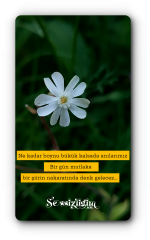 20180624_1902288.png
