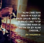 FB_IMG_1621109504225.jpg