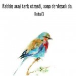FB_IMG_15953457546895908.jpg
