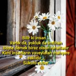 SC_Time_1603229841247.jpg