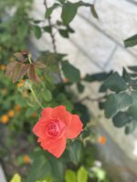 651346E7-4F22-403D-AD9D-BD50CA0F4A0B.jpeg