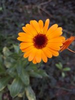 20180927_150057.jpg