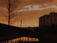 74D74759-B569-42F9-9602-B1AC21A3F49A.png