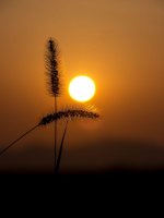 e79becddad6900e55d8b022f8531cea1.jpg